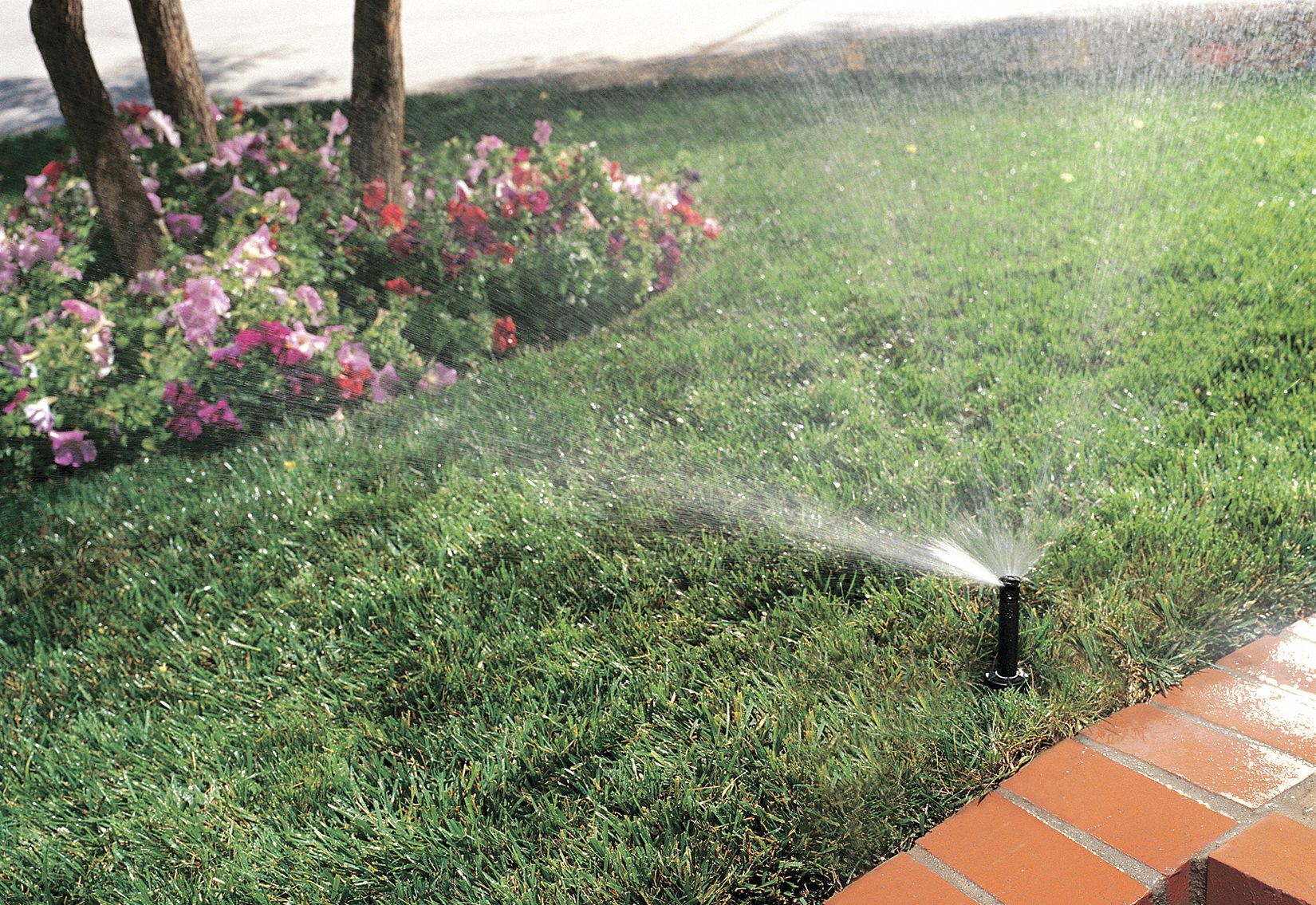 RAIN BIRD Plastic Spray Head for Shrubs, 1/2 in FNPT Connection, 0° to