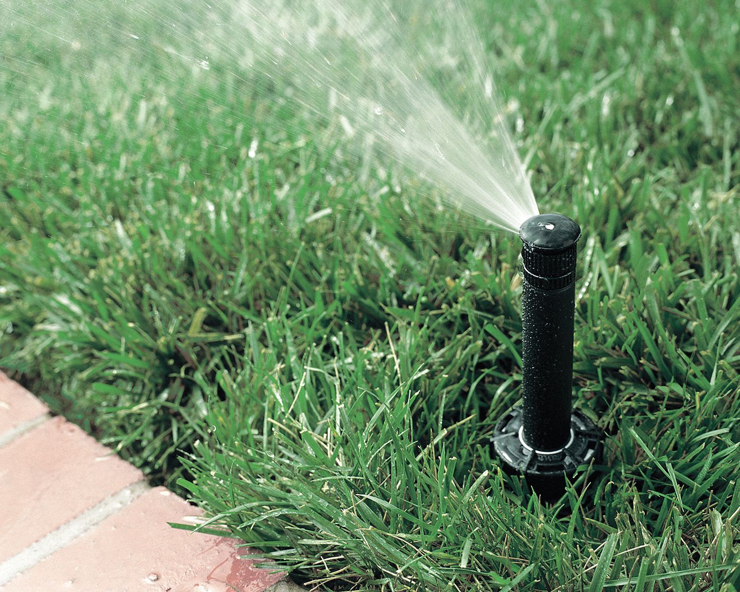 RAIN BIRD Plastic Spray Head for Shrubs, 1/2 in FNPT Connection, 0° to