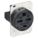 RECEPTACLE, SINGLE, 15-30R, 250V AC, 30 A, BLACK, 3 POLE/4 WIRE, SCREW TERMINALS