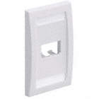 WALL PLATE,SINGLE GANG,2 PORTS,OFF WHITE