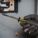 Product Image #9