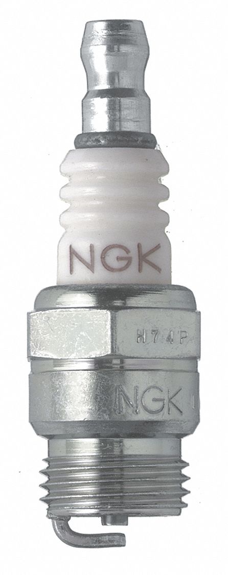 Lawn and Garden, Marine