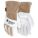 Primary Product Image