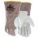 Primary Product Image