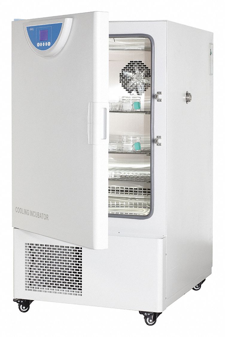 BEING INSTRUMENT Digital Incubator, 10° to 80°(C), Voltage 120V