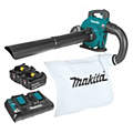 Cordless Dual Battery Operated Handheld Blowers