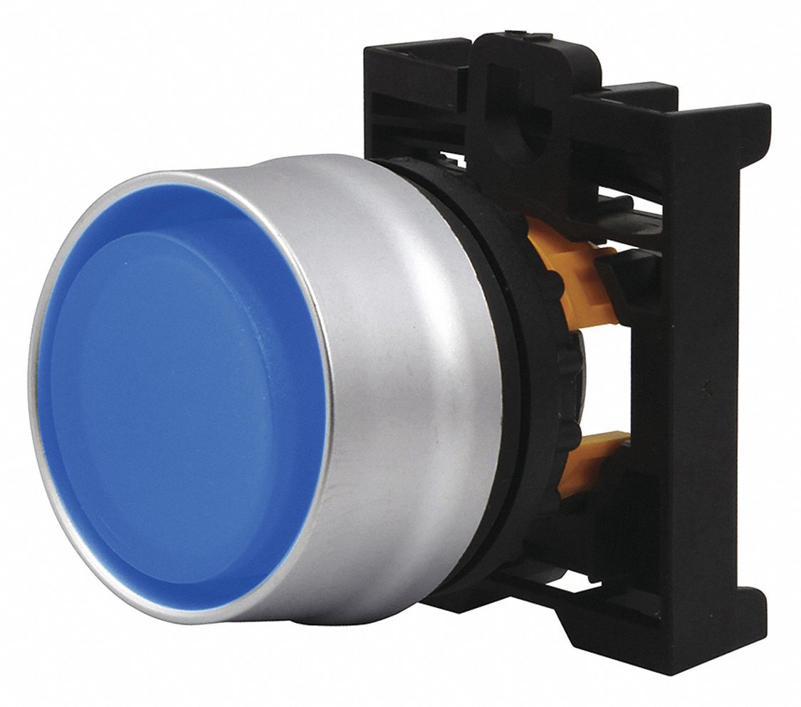 Extended Push Button: Blue, 22 mm Mounting Size, Non-Metallic, Momentary