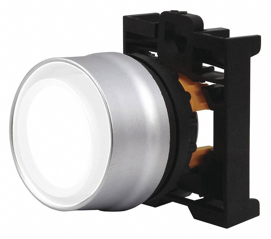 Extended Push Button: White, 22 mm Mounting Size, Non-Metallic, Momentary