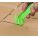 Product Image #6