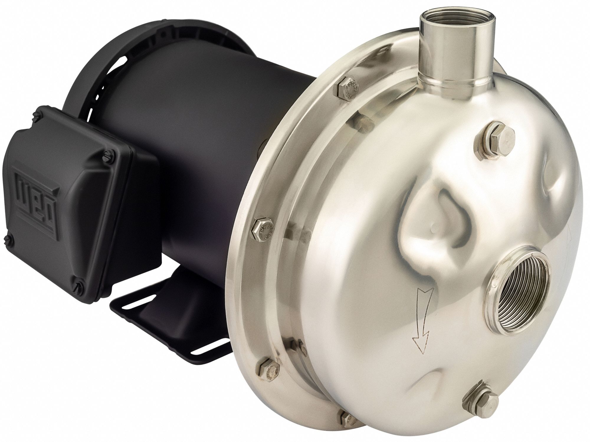 AMERICAN STAINLESS PUMPS 230VAC Totally Enclosed FanCooled Straight