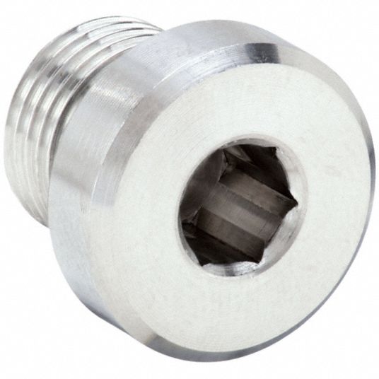 316 Stainless Steel, 1/8 in Fitting Pipe Size, Hollow Hex Plug - 60VC40 ...