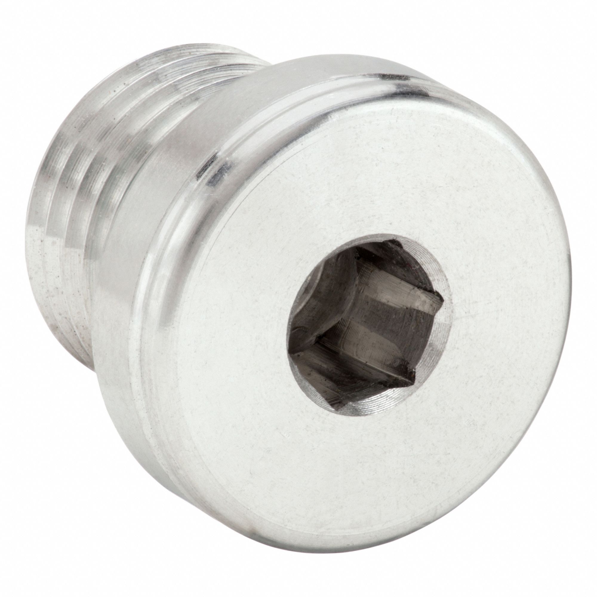 Hollow Hex Plug: 316 Stainless Steel, 10 mm x 1 in Fitting Pipe Size, Male Metric x Female