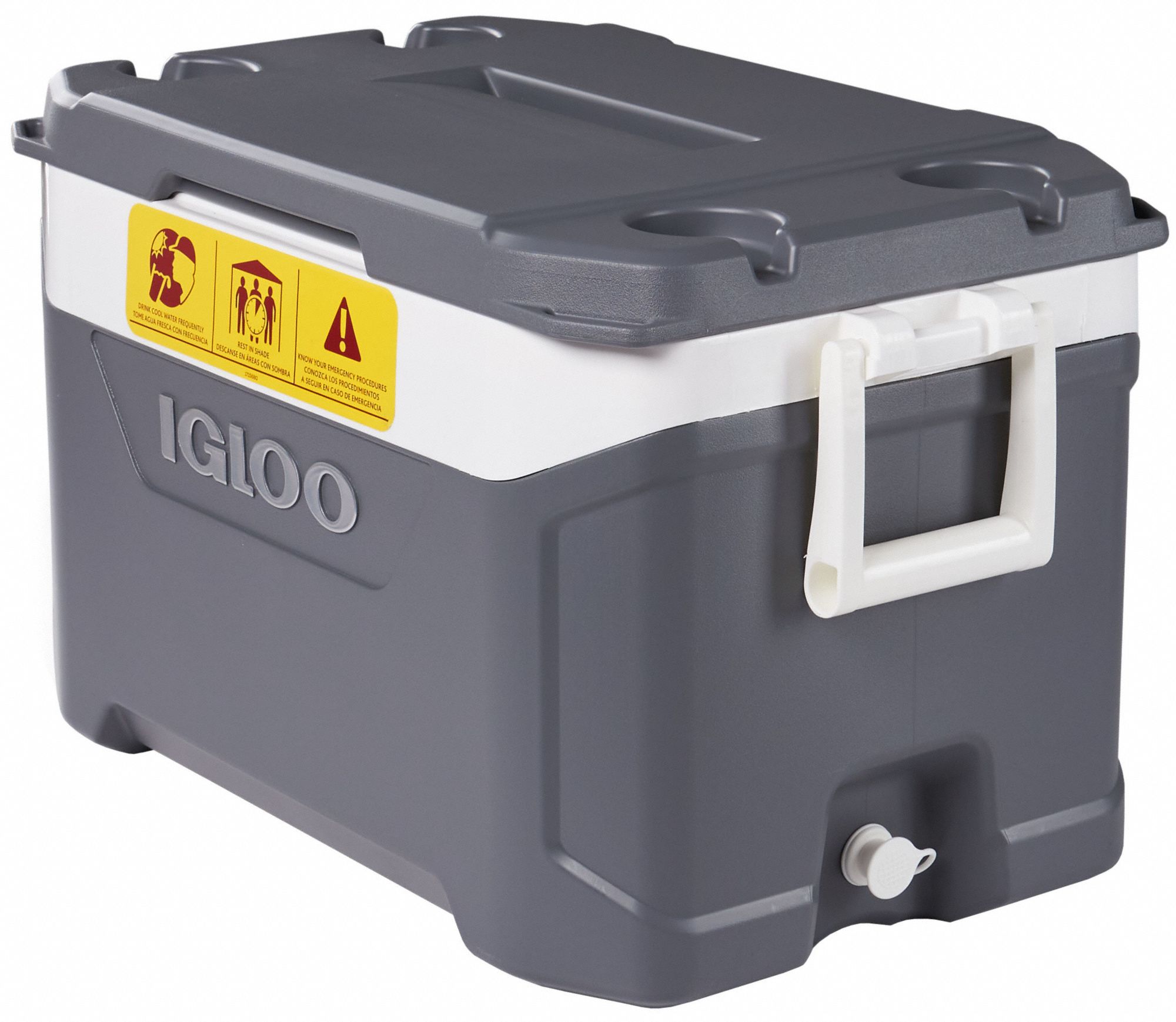 Igloo 24 Quart Cooler | atelier-yuwa.ciao.jp