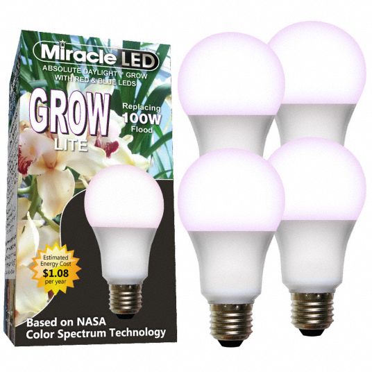 What to Consider When Choosing a Light Bulb - Grainger KnowHow