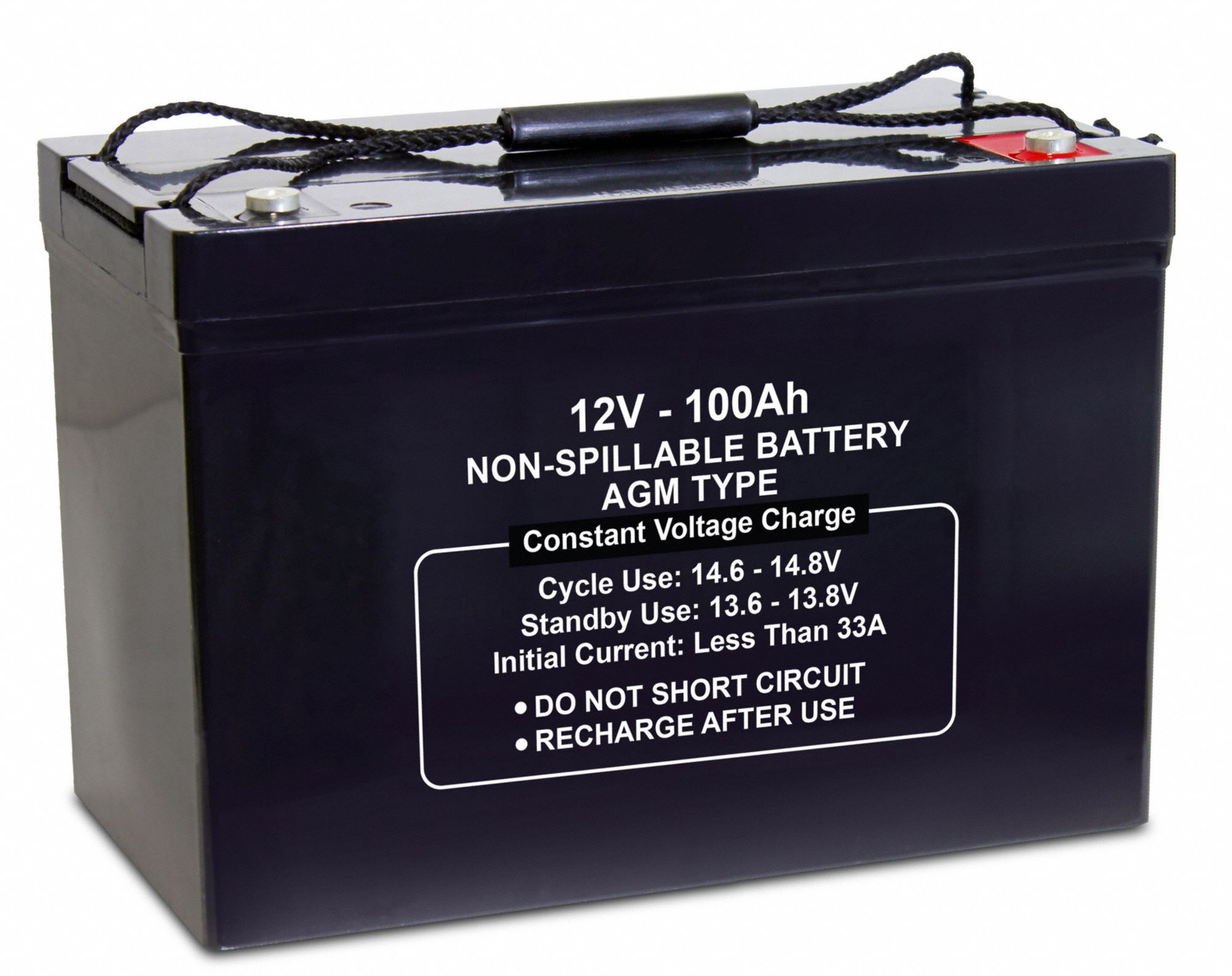 GRAINGER APPROVED 12V DC, Sealed Lead Acid Battery, 100 Ah, Tab with
