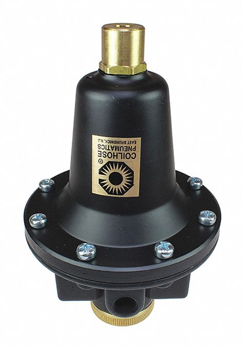 Regulator Tamperproof, 0-200PSI, 1/4"