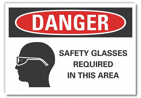  Eye  Danger Label: Polyester, Adhesive Sign Mounting, 10 in x 14 in Nominal Sign Size, Danger