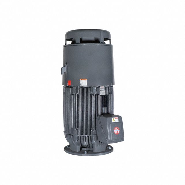 Pool and Spa Pump Motor: 125 HP, 1, 785 Nameplate RPM, 230/460V AC, 405VPZ Frame