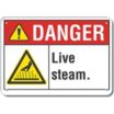 Danger: Live Steam. Signs