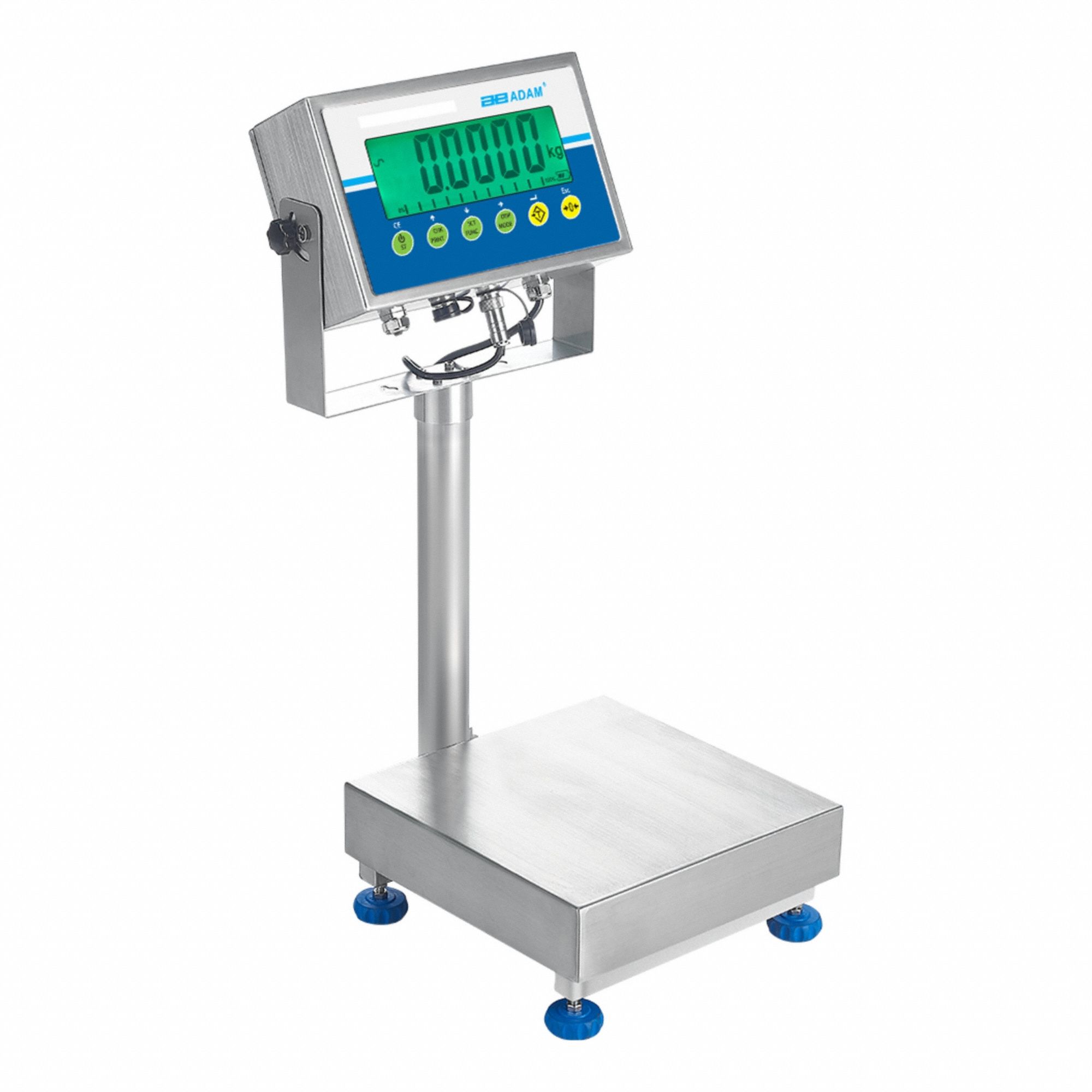 Food Scales - Clone - Weighing Scale - W