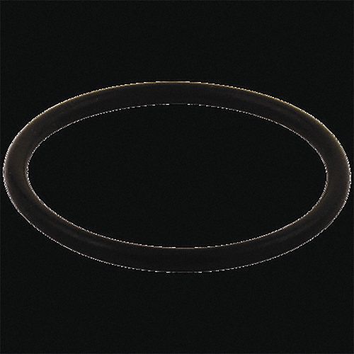 Delta O-Ring, Large, All Monitor Serie