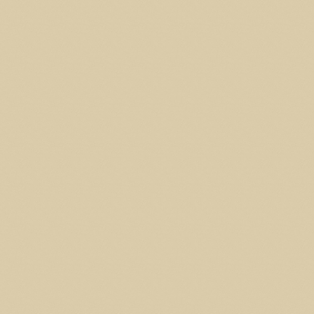 dune bamfield tan