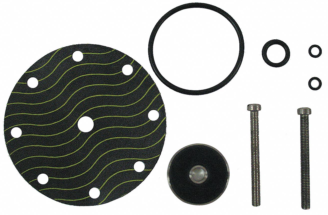 Pilot Rebuild Kit: CP16RK
