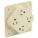 Primary Product Image