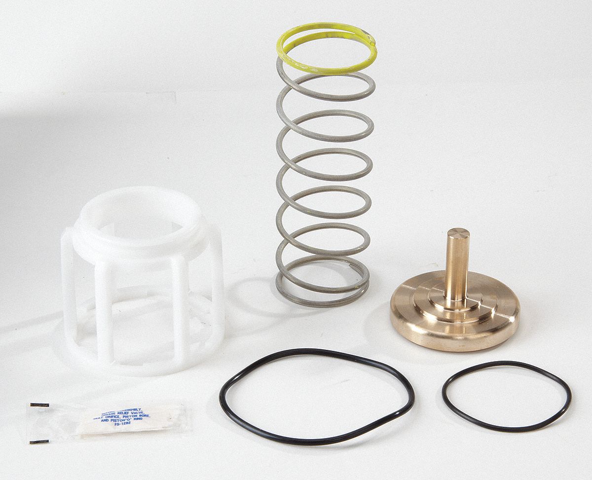 WATTS First Check Valve Repair Kit, For Use With Watts Series 909 M1, 1