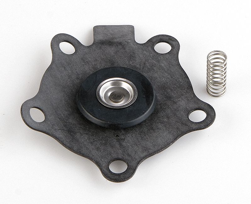 VALVE REBUILD KIT: DIAPHRAGM ASSEMBLY/DIAPHRAGM SPRING