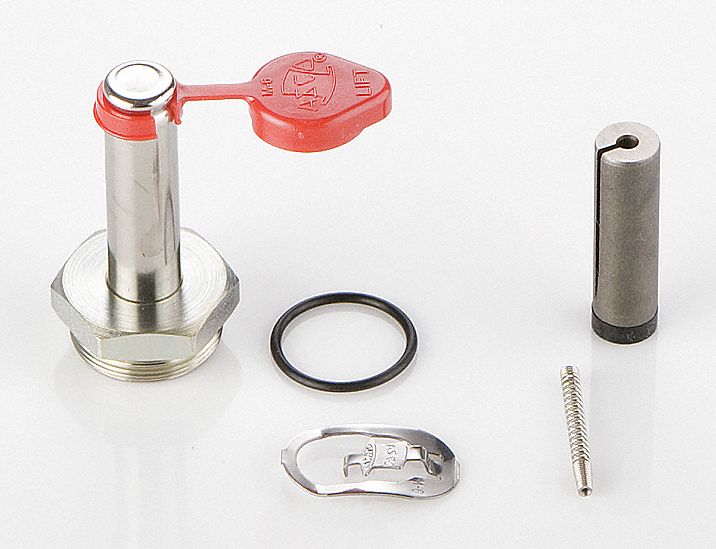 VALVE REBUILD KIT, FOR 8262G208V, INCLUDES BODY/BONNET GASKET, CORE ASSEMBLY/SPRING, PLUG NUT/CORE