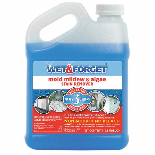 WET AND FORGET, Jug, 0.5 gal Container Size, Mold and Mildew Remover -  6EFN6