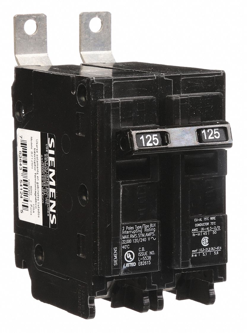 Miniature Circuit Breaker: 125 A Amps, 120/240V AC, 2 Poles, Std
