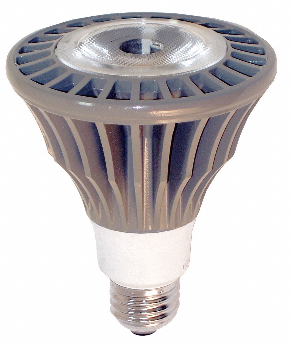 Lamps & Bulbs