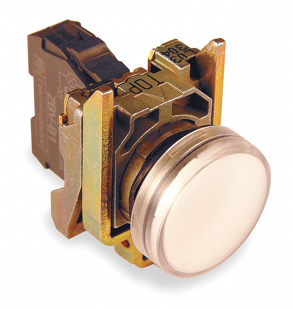 SCHNEIDER ELECTRIC Pilot Light Complete 22 mm Size, Full Volt, 110 to