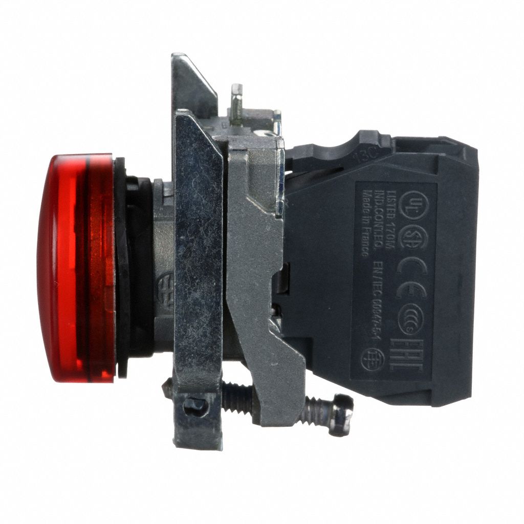 SCHNEIDER ELECTRIC Pilot Light Complete 22 mm Size, Full Volt, 110 to