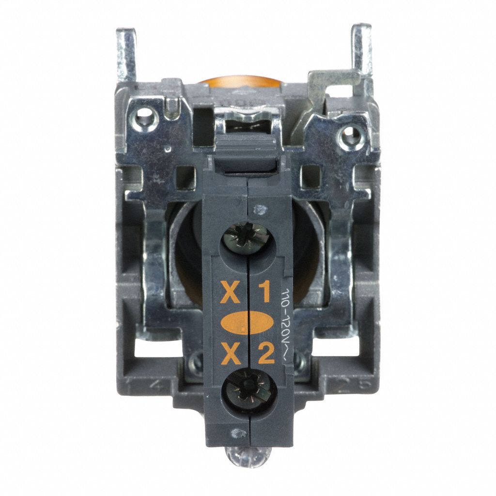 SCHNEIDER ELECTRIC Pilot Light Complete 22 mm Size, Full Volt, 110 to