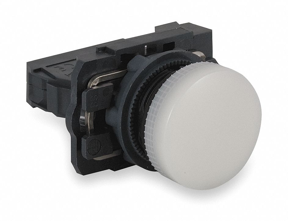 SCHNEIDER ELECTRIC Pilot Light Complete, 22 mm, 250V AC Voltage, Lamp