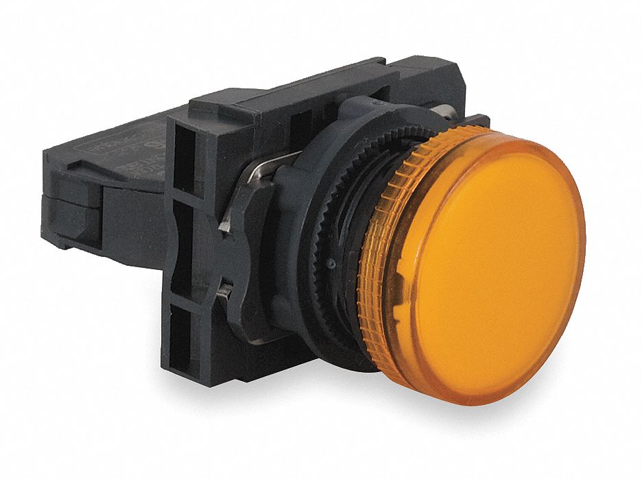 SCHNEIDER ELECTRIC Pilot Light Complete, 22 mm, 250V AC Voltage, Lamp