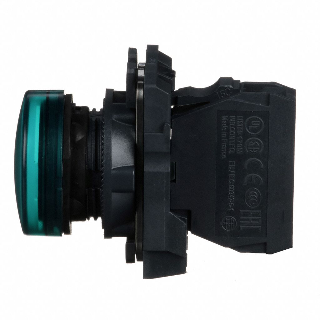 SCHNEIDER ELECTRIC Pilot Light Complete 22 mm Size, Full Volt, 110 to