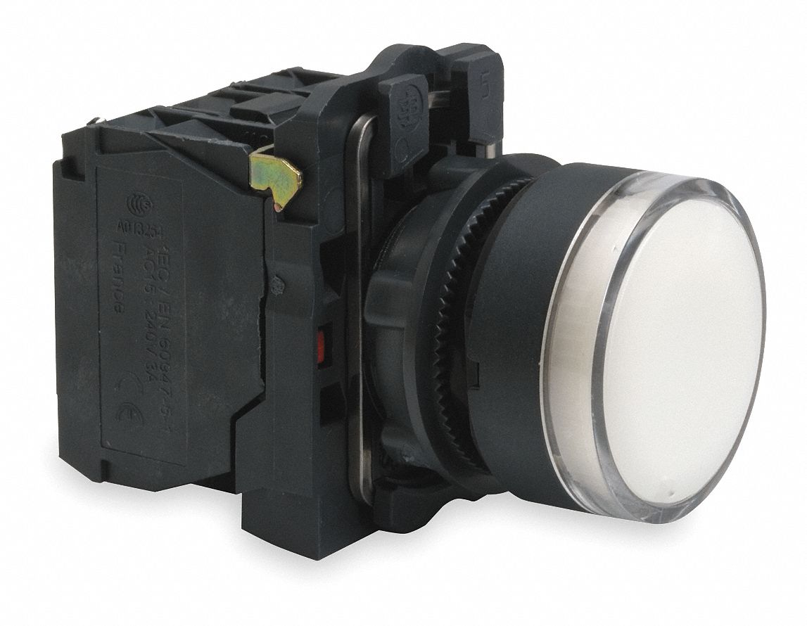 SCHNEIDER ELECTRIC Illuminated Push Button, 22 mm, Maintained