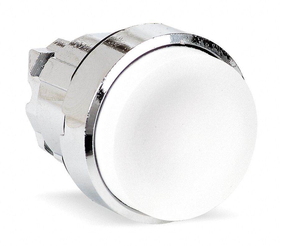 Extended Push Button: White, 22 mm Mounting Size, Metallic, Momentary