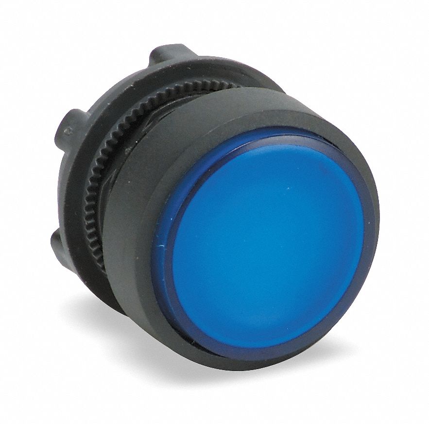 SCHNEIDER ELECTRIC, Blue, 22 mm Mounting Size, Extended Push Button ...