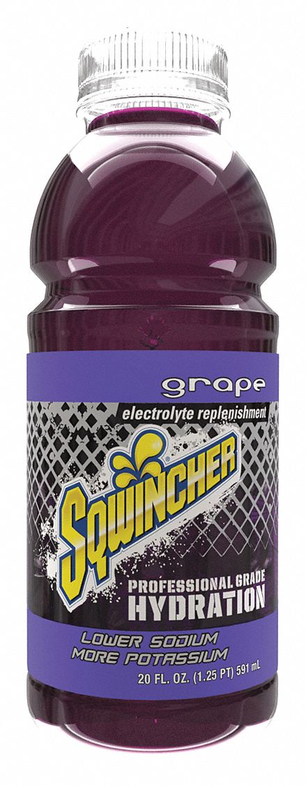 H1103 Sports Drink Bottle Grape PK24