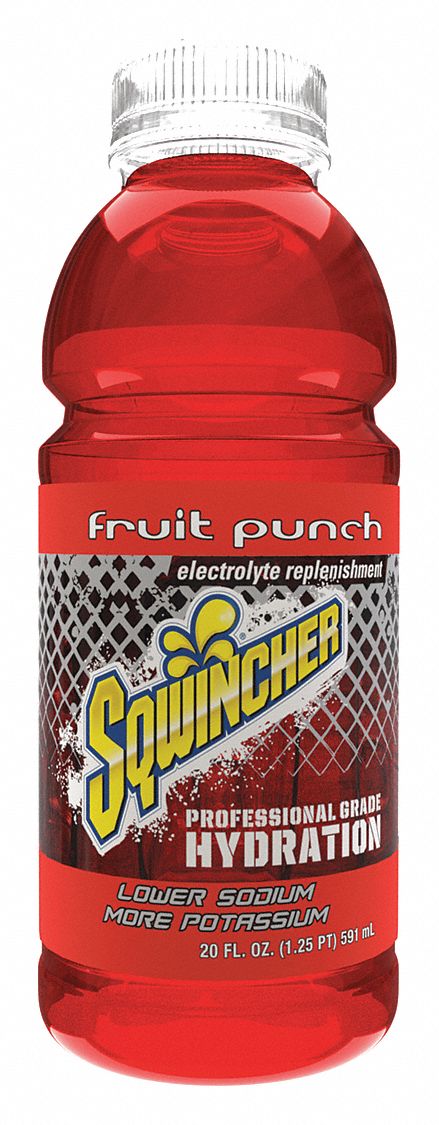 H1103 Sports Drink Fruit Punch PK24