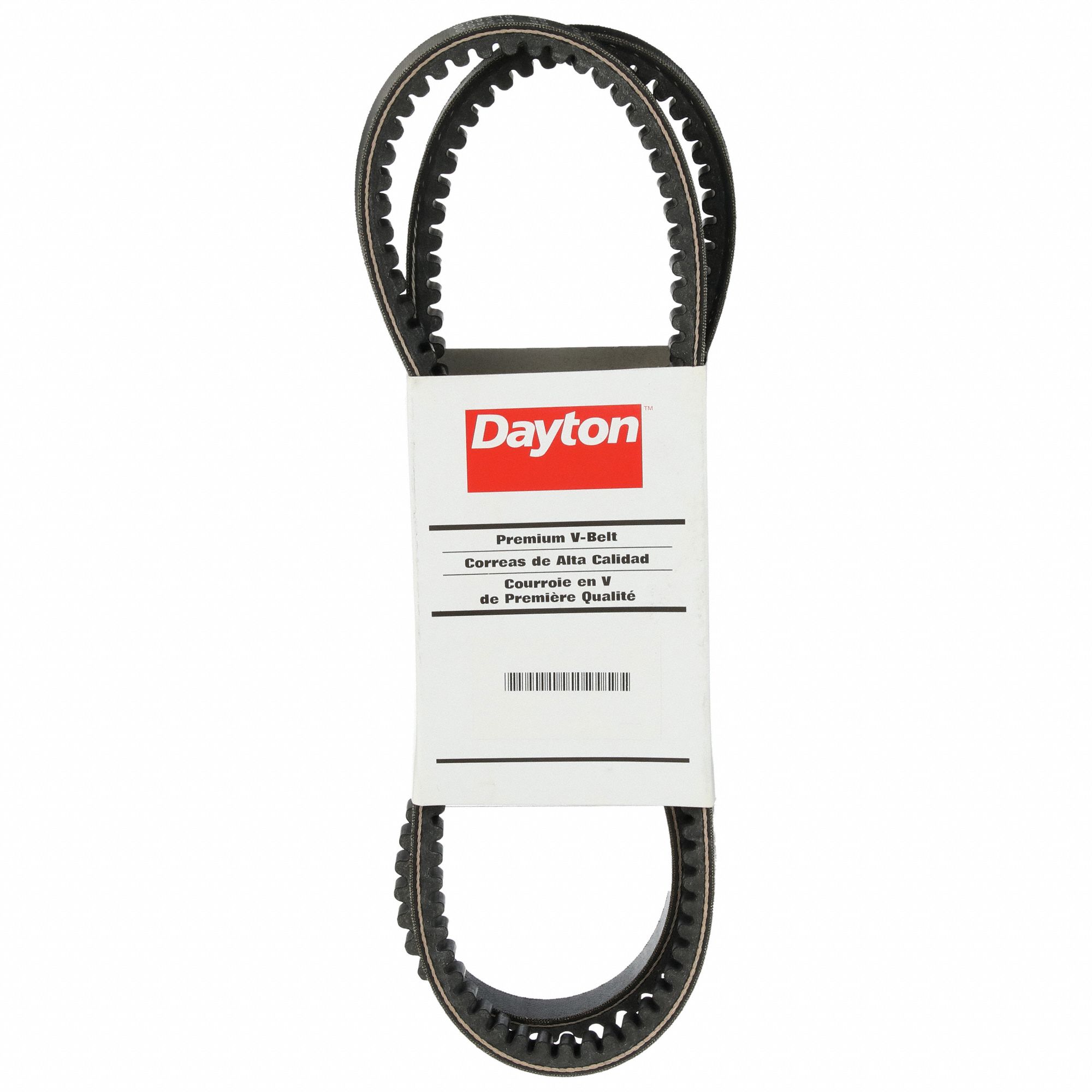 DAYTON Cogged V-Belt: BX54, 57 in Outside Lg, 21/32 in Top Wd, 13/32 in  Thick