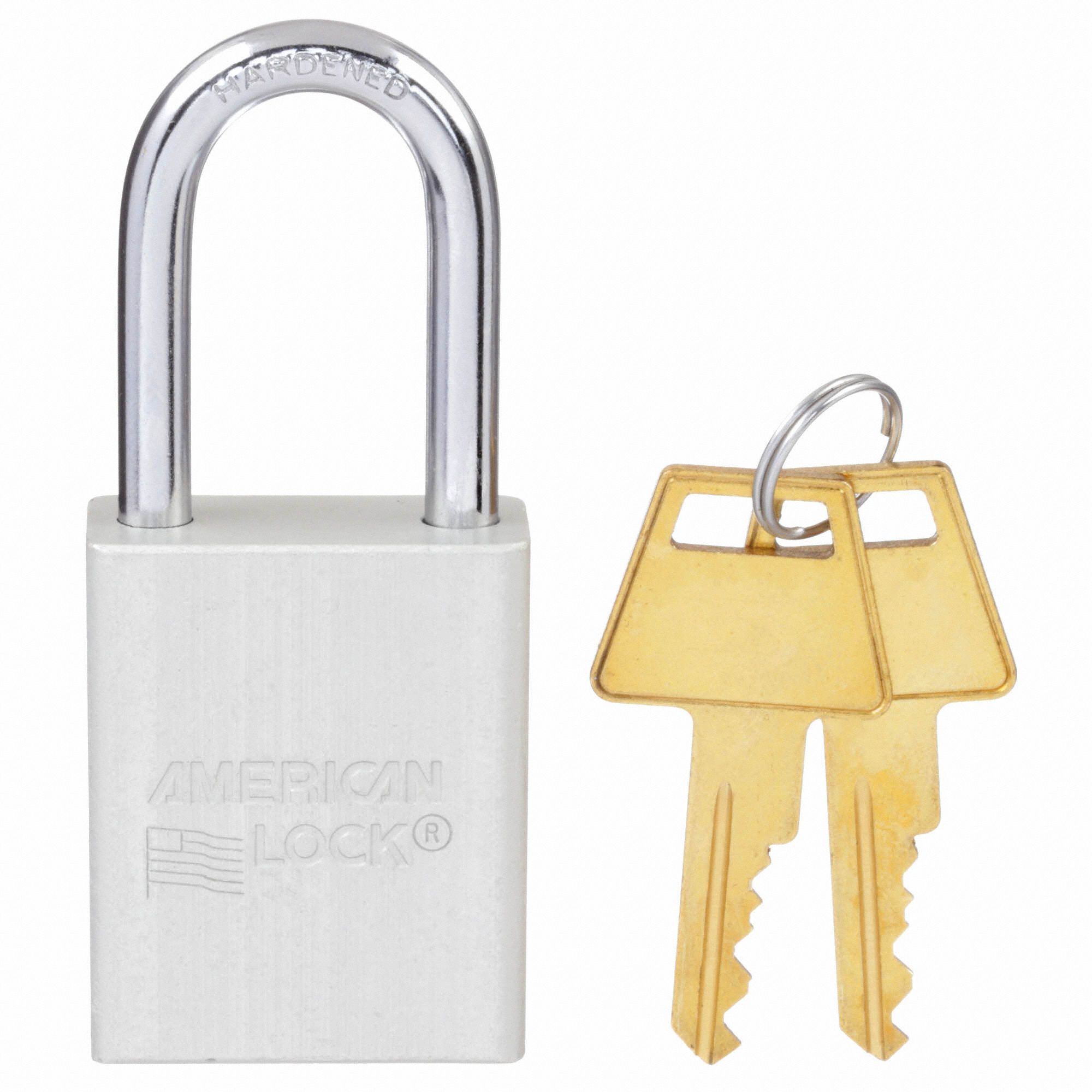 AMERICAN LOCK Silver Lockout Padlock, Alike Key Type, Master Keyed No