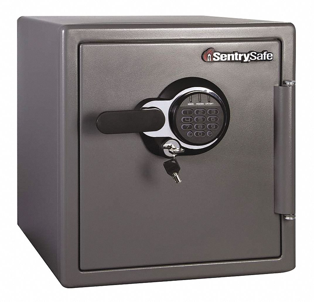 SENTRY SAFE Caja de Seguridad , 220 lb. - Cajas Fuertes de Pared y