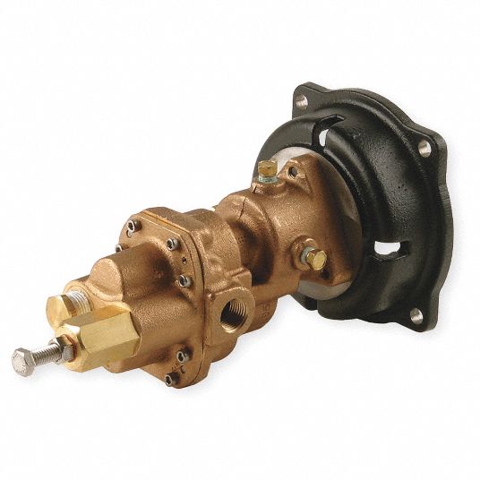 Bronze Rotary Gear Pump Head, Close Coupled Design Grainger