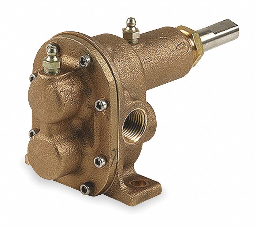 Dayton Rotary Gear Pump Head 6NY89 